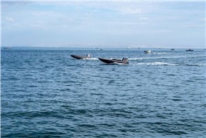 UK Sets Pace on New Undersea Sensors to Detect Threats, As AUKUS Partners Test Advanced Kit in San Diego