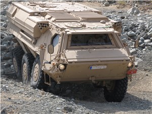The &quot;Fuchs&quot; Success Story Goes on