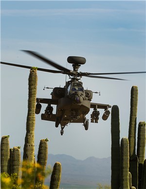 Saudi Arabia - Continuation of Maintenance Support Services (MSS)