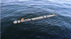 HII is Awarded $347M US Navy Lionfish Small UUV Contract