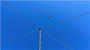 Leidos Awarded $32M Defense Radar Contract