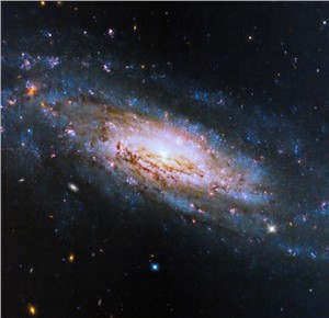 Hubble Views a Galaxy with a Voracious Black Hole