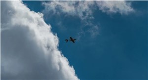 Radiation Surveillance Payload Integrated into Raybird UAS