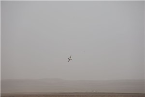 New Interceptor Missiles Successfully Tested in the Middle East As Defence Minister Visits Region