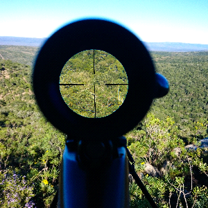 APAC to dominate the Riflescope market