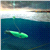 Underwater Infrastructure Protection Systems - Market and Technology Forecast