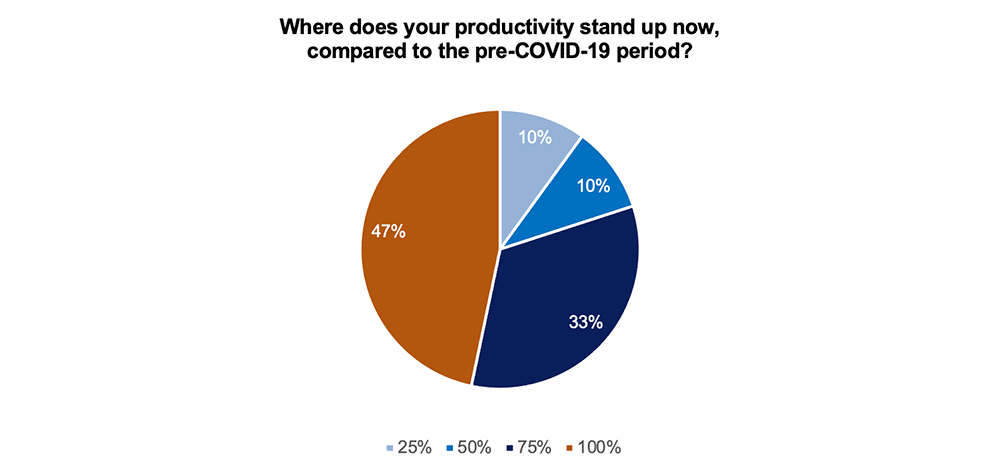 Where does your productivity stand up now, compared to the pre-COVID-19 period?